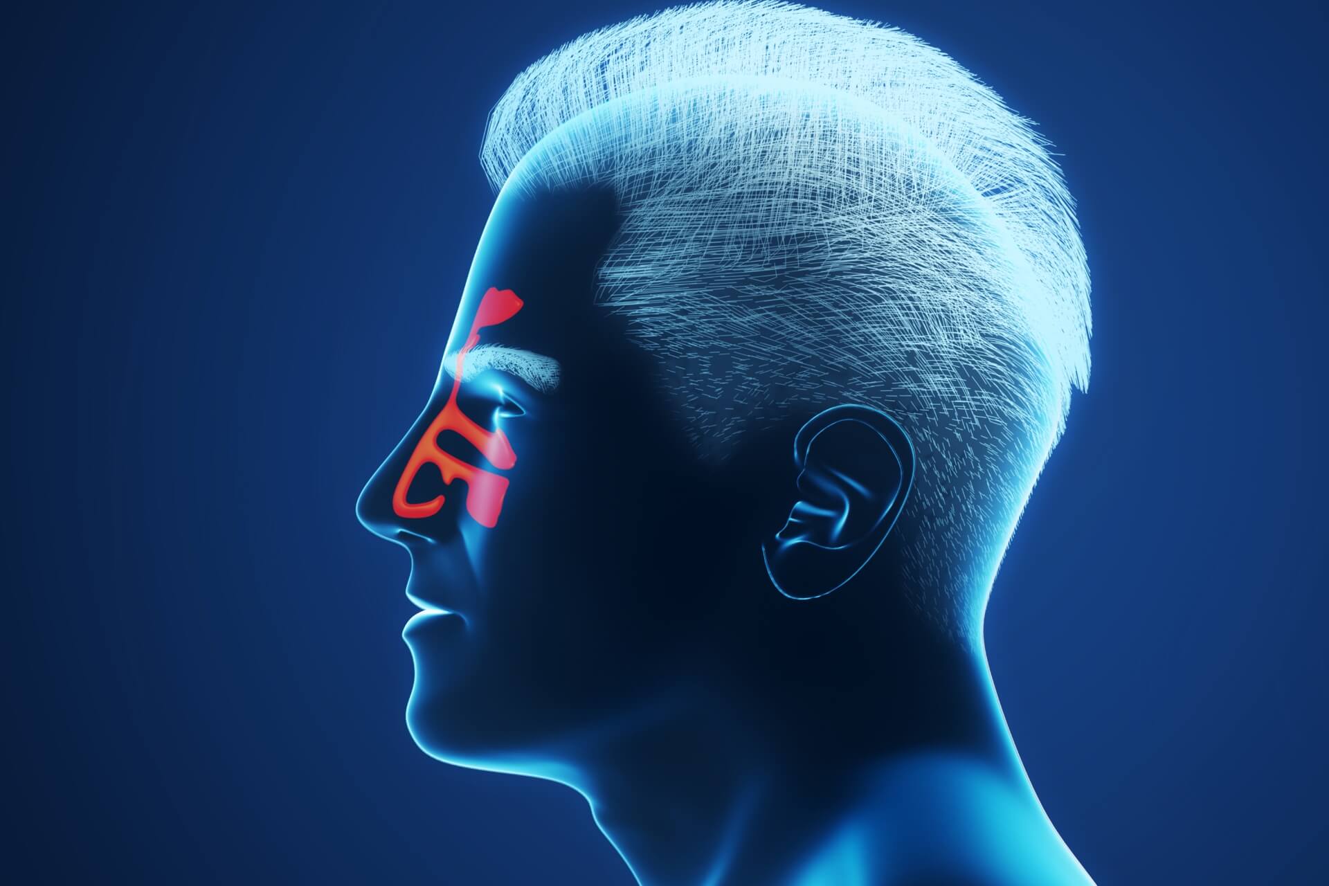 sintomi di raffreddore, rinite e sinusite che interessano i seni paranasali