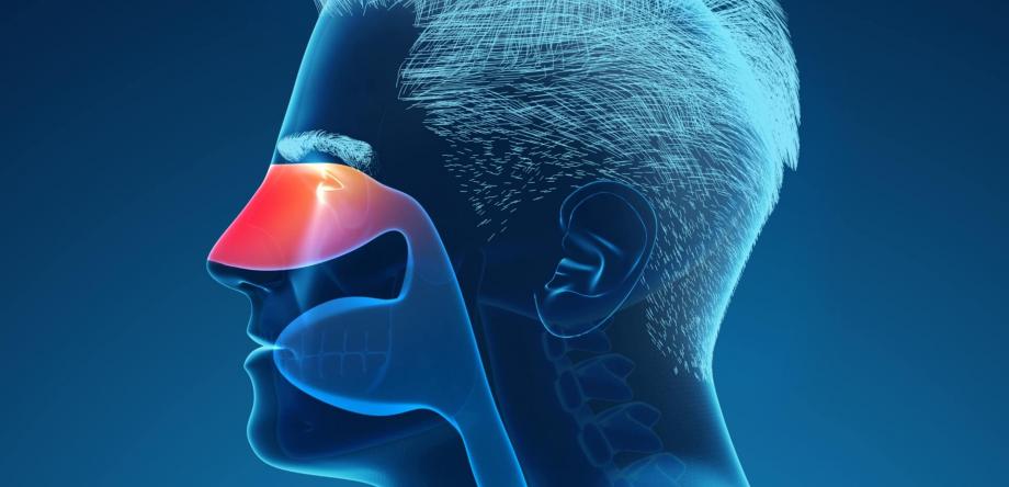 rinite, sinusite, faringite: sintomi e cause delle patologie di naso e gola