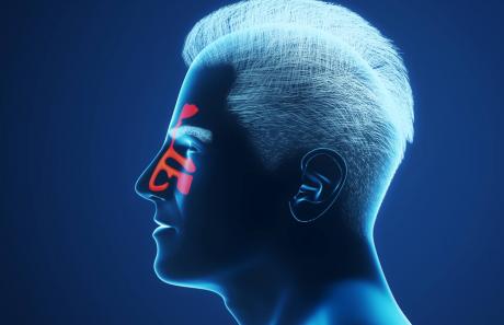 sintomi di raffreddore, rinite e sinusite che interessano i seni paranasali