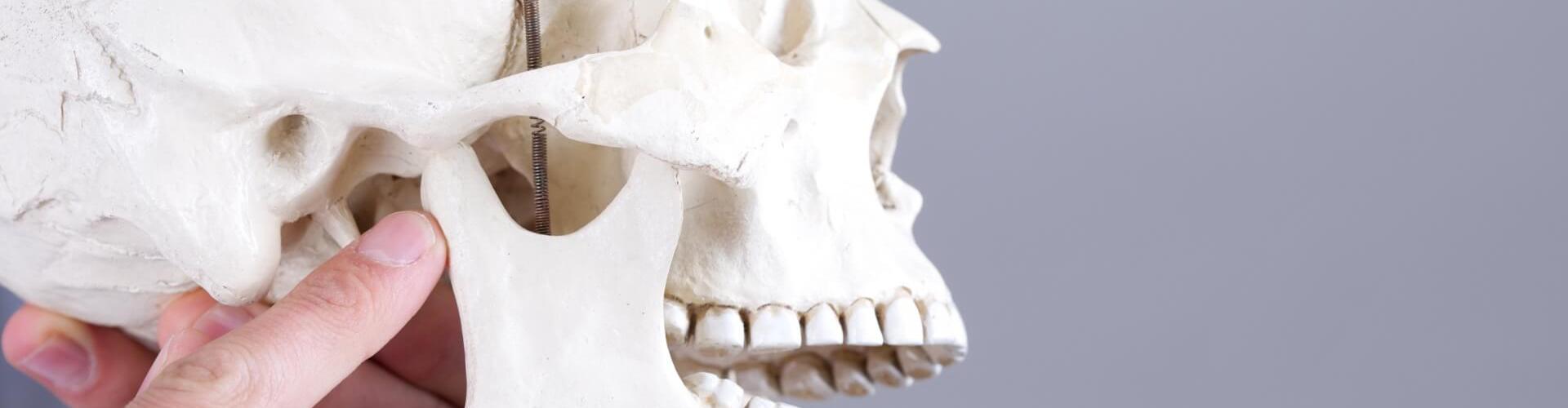 articolazione temporo-mandibolare: cos'è e dove si trova